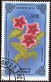 stmgl0504.jpg