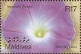 stmld0101.jpg