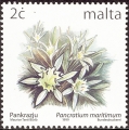 stmlt0102.jpg