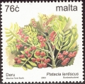 stmlt0122.jpg