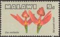 stmlw0503.jpg