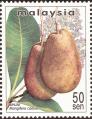 stmly0103.jpg