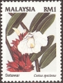 stmly1204.jpg