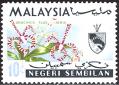 stmly1415.jpg