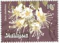 stmly9901.jpg
