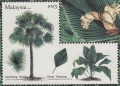 stmly9905.jpg