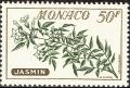 stmnc0107.jpg