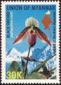 stmya0101.jpg