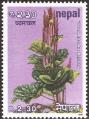 stnep0304.jpg