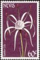 stnev0109.jpg