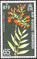 stnhb0104.jpg