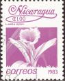 stnic0706.jpg