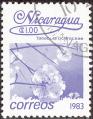 stnic0716.jpg