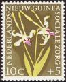 stnwgd0102.jpg