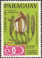 stpar0403.jpg