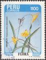 stper9901.jpg