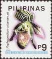 stphi0105.jpg