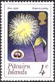 stpit0101.jpg