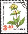 stpol0703.jpg