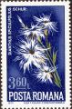 strom0103.jpg