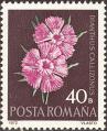 strom2702.jpg