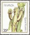 strwa0106.jpg