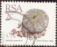stsaf0606.jpg