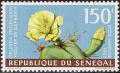 stsen0102.jpg