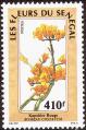 stsen0304.jpg