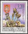 stser0102.jpg