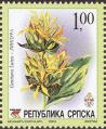 stser0204.jpg