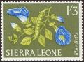 stsie0409.jpg