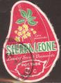 stsie9902.jpg