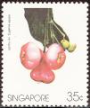 stsin0202.jpg