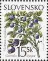 stslv0103.jpg
