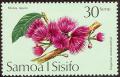 stsmo0304.jpg