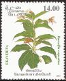 stsri0202.jpg