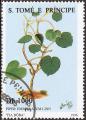 ststp0506.jpg