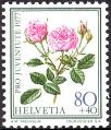 stswi0404.jpg