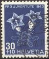 stswi1903.jpg