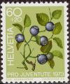 stswi2504.jpg