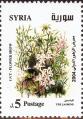 stsyr0102.jpg