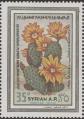 stsyr1203.jpg