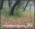 sttha2901.jpg