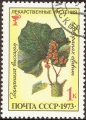 stussr0201.jpg