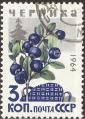 stussr1902.jpg