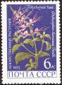 stussr3404.jpg