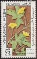 stymn0101.jpg