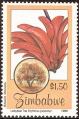 stzim0103.jpg