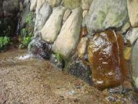 DSC01361_convert_20120825151924 300